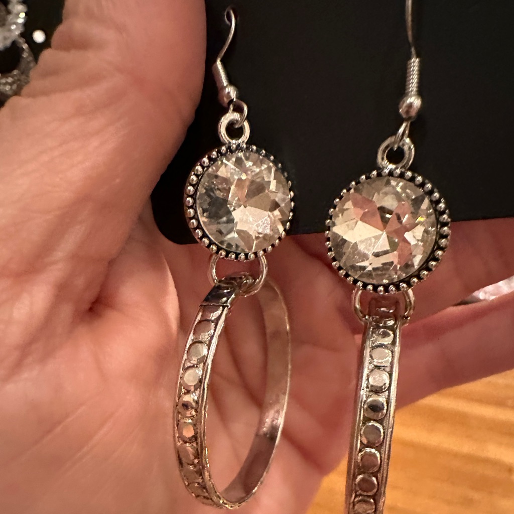 Dazzle Dazzle Silver Hoops
